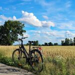 Jak znaleźć sprawdzoną wypożyczalnię samochodów