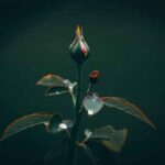 Czym różni się kamper alkowy od zintegrowanego wnętrze – ergonomia, przestrzeń, komfort